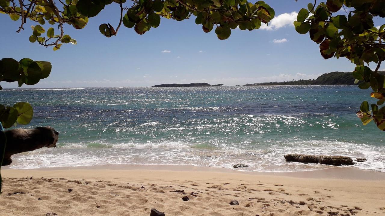 Fleur Des Caraibes Apartman Sainte-Anne Kültér fotó